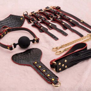 7-Piece BDSM Bondage Kit with Suitcase