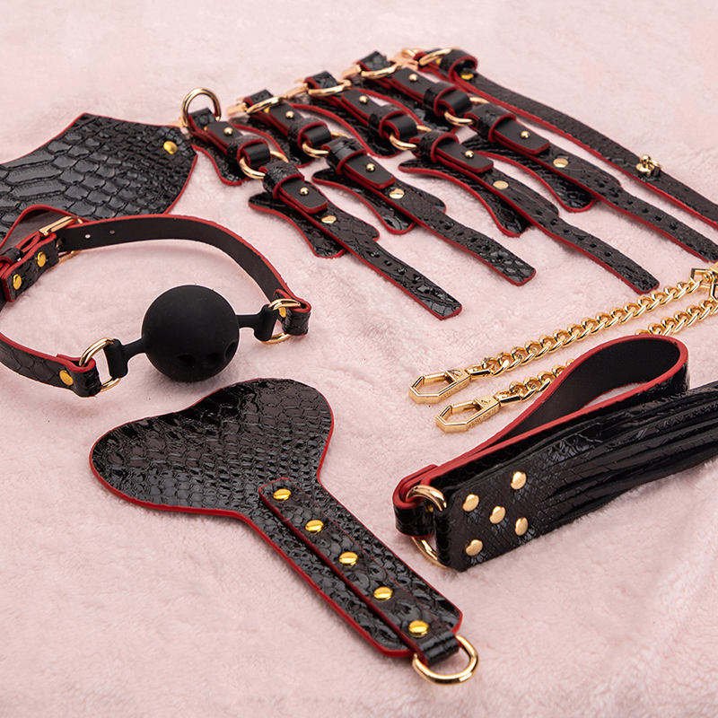 7-Piece BDSM Bondage Kit with Suitcase