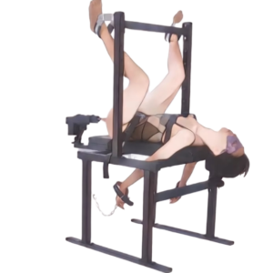 BDSM Restraint Frame Bondage Furniture