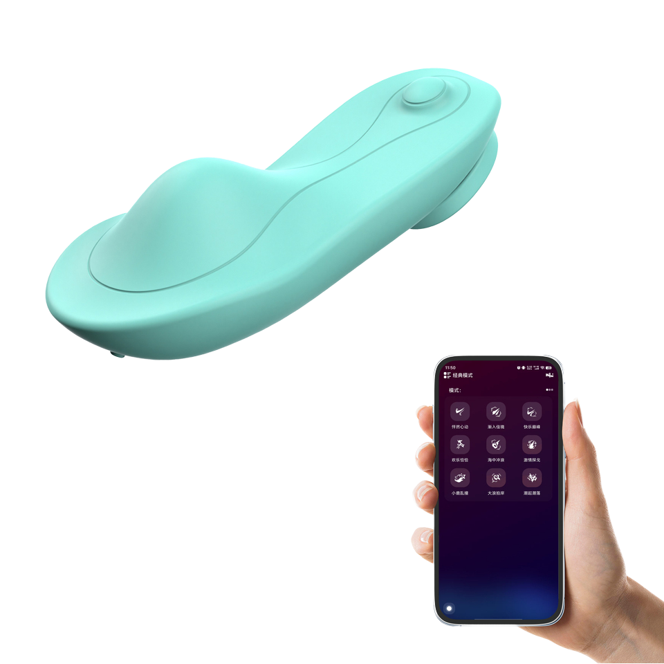 App-Controlled Wearable Panty Vibrator