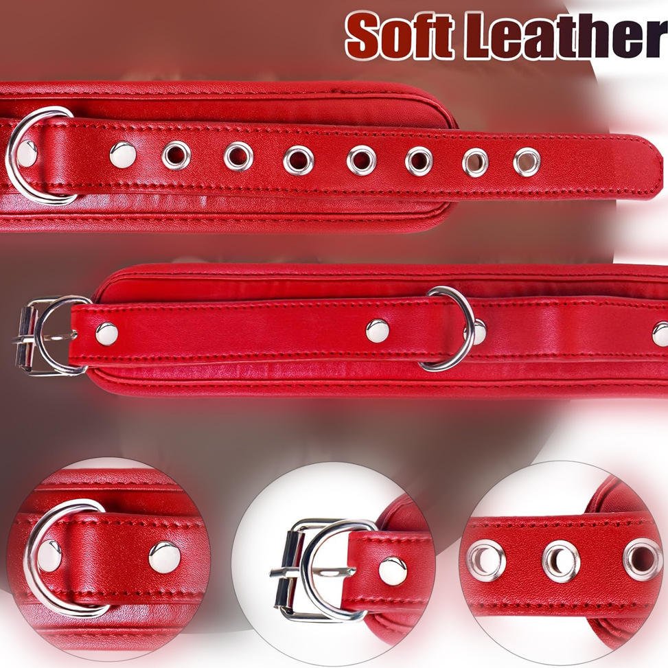 BDSM Anal Plug and Mouth Ball Gag Restraint Set with Collar Hook